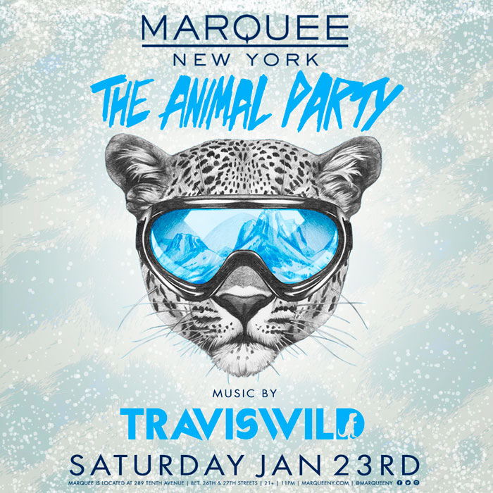 The Animal Party: Travis Wild